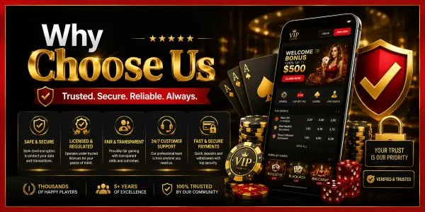 Why Choose Us
